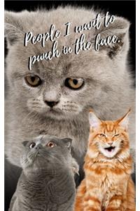 People I Want To Punch In The Face