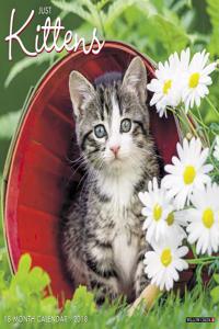 Just Kittens 2018 Wall Calendar