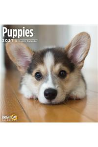 Cal 2021- Puppies Wall