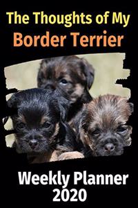 The Thoughts of My Border Terrier