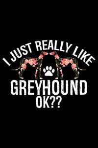 I Just Really Like Greyhound Ok?