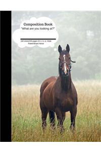 Composition Book What Are You Looking At? Brown Horse 100 Sheet/200 Pages: Funny Plain Journal Blank Writing Notebook Lined Page Brown Foal (Composition Notebook Journal)