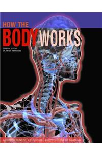 How the Body Works