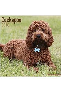 Cockapoo Calendar 2018 (Square)