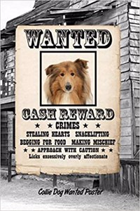 Collie Dog Wanted Poster