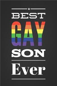 Best Gay Son Ever