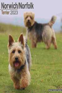 Norwich/Norfolk Terrier 2023 Wall Calendar