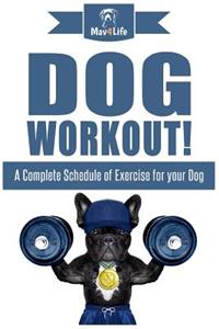 Dog Workout!