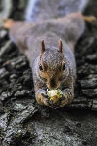 Happy Squirrel with a Nut on a Log Cute Animal Journal