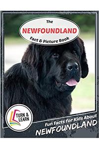 The Newfoundland Fact and Picture Book: Fun Facts for Kids About Newfoundland (Turn and Learn)