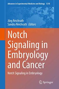 Notch Signaling in Embryology and Cancer