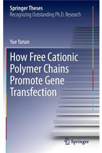 How Free Cationic Polymer Chains Promote Gene Transfection