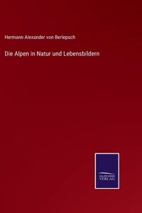 Alpen in Natur und Lebensbildern