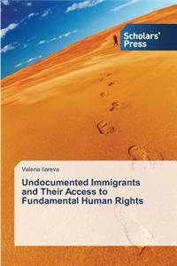 Undocumented Immigrants and Their Access to Fundamental Human Rights