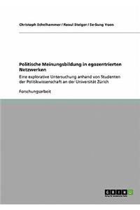 Politische Meinungsbildung in Egozentrierten Netzwerken