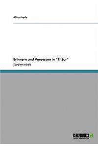 Erinnern und Vergessen in 