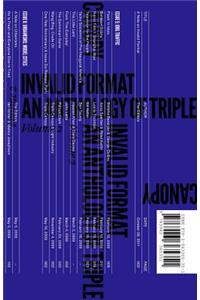 Invalid Format - an Anthology of Triple Canopy, Vol. 2
