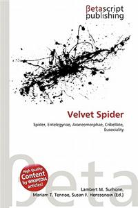 Velvet Spider