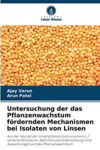 Untersuchung der das Pflanzenwachstum fördernden Mechanismen bei Isolaten von Linsen