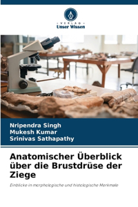 Anatomischer Überblick über die Brustdrüse der Ziege