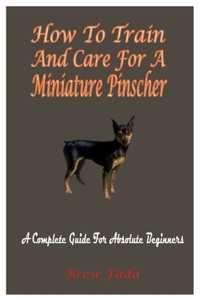 How To Train And Care For A Miniature Pinscher