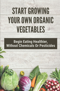 Start Growing Your Own Organic Vegetables