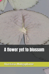 Flower Yet to Blossom
