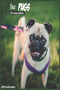 The Pugs 2021 Calendar
