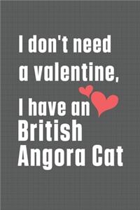 I don't need a valentine, I have a British Angora Cat