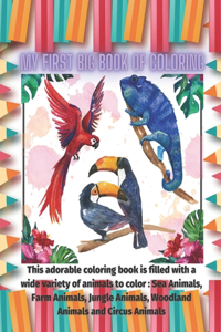 My First Big Book of Coloring - This adorable coloring book is filled with a wide variety of animals to color