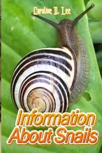Information About Snails