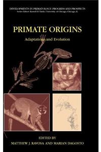 Primate Origins: Adaptations and Evolution