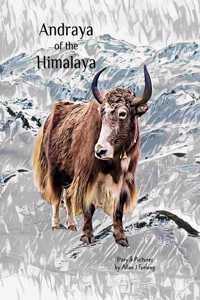 Andraya of the Himalaya