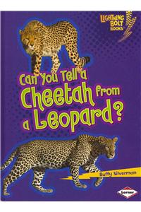 Can You Tell a Cheetah from a Leopard?
