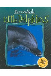 Little Dolphins