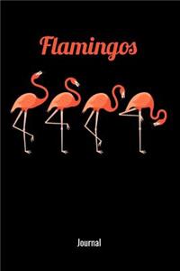 Flamingos Journal