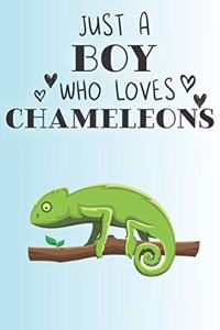 Just A Boy Who Loves Chameleons