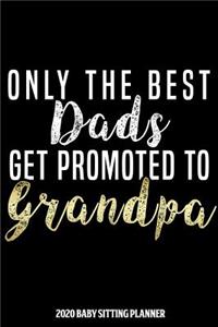 grandpa 2020 Baby Sitting Planner
