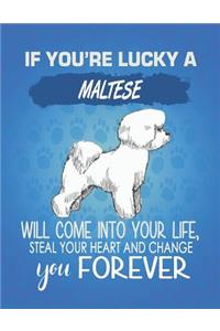 If You're Lucky A Maltese Will Come Into Your Life, Steal Your Heart And Change You Forever