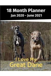 Jan 2020 - June 2021 18 Month Planner