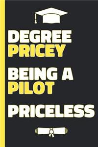 Degree Pricey Being A Pilot Priceless