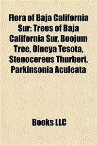 Flora of Baja California Sur