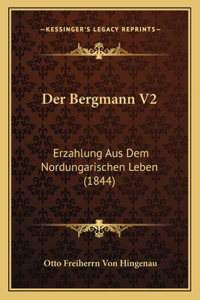 Bergmann V2