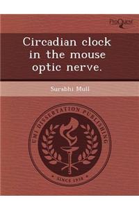 Circadian Clock in the Mouse Optic Nerve