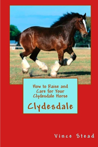 How to Raise and Care for Your Clydesdale Horse