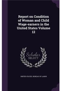 Report on Condition of Woman and Child Wage-earners in the United States Volume 12