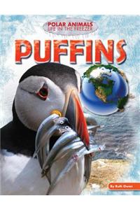 Puffins