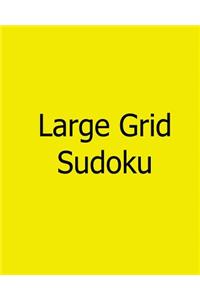 Large Grid Sudoku
