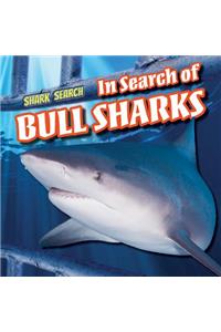 In Search of Bull Sharks
