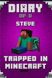 Minecraft Diary of a Minecraft Steve Trapped in Minecraft